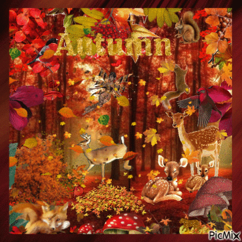 Autumn in the forest - GIF animasi gratis