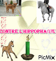 Contre l'hippophagie!!!! - Бесплатный анимированный гифка
