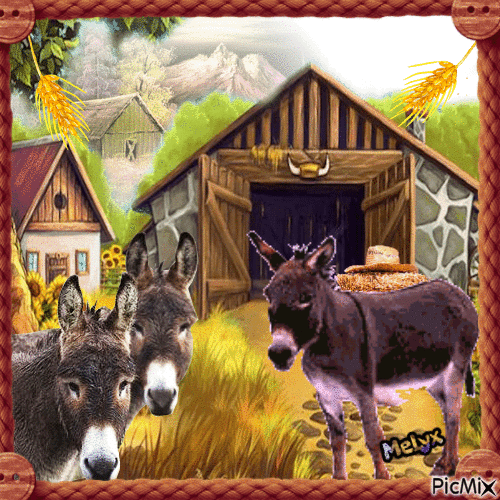 donkeys on the farm - GIF animado grátis