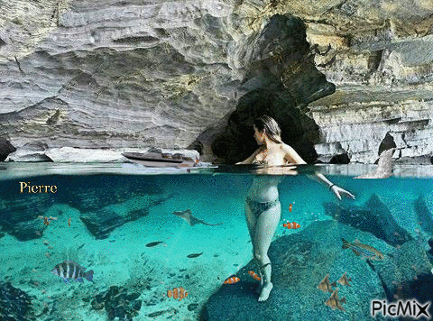 paradis de la baignade - Gratis geanimeerde GIF