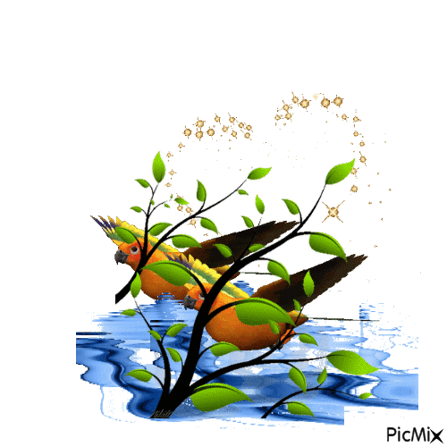 L'es oiseaux - Ingyenes animált GIF
