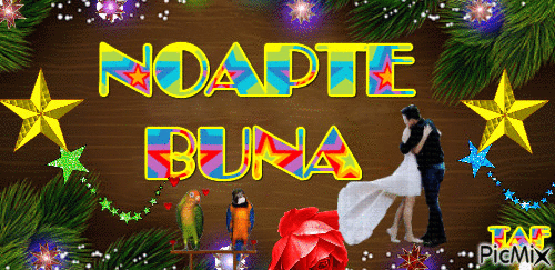 NOAPTE  BUNA - Бесплатный анимированный гифка