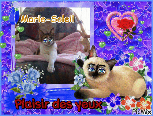 Marie-Soleil - GIF animado gratis