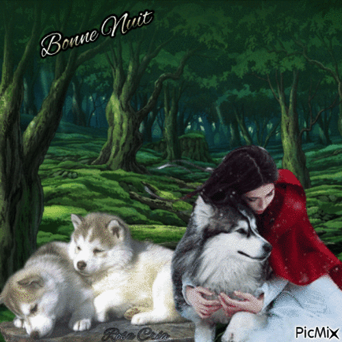 Concours : Femme avec loups - Free animated GIF