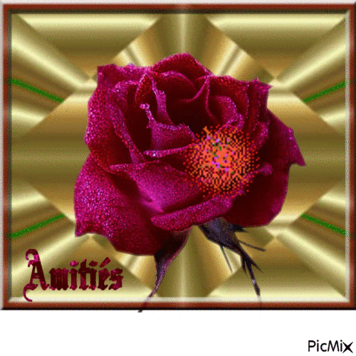 rose rouge - Gratis animerad GIF