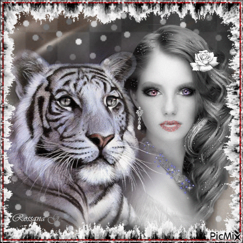 La beauté du tigre - Δωρεάν κινούμενο GIF