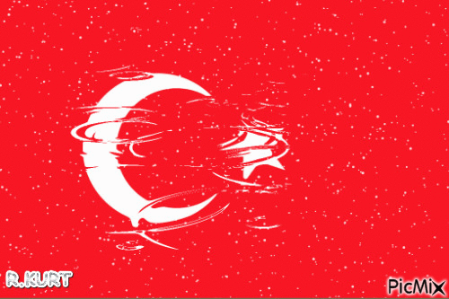 BAYRAKLARI BAYRAK YAPAN ÜSTÜNDEKİ KANDIR. - GIF animado gratis