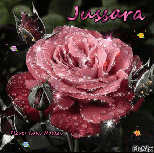 Jussara - Бесплатный анимированный гифка