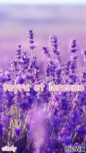 tayra et lorenzo - bezmaksas png