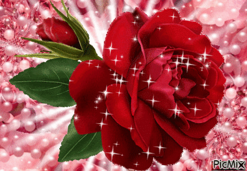 роза красная - Безплатен анимиран GIF