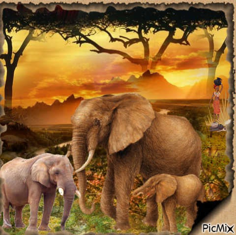 ELEPHANTS - PNG gratuit