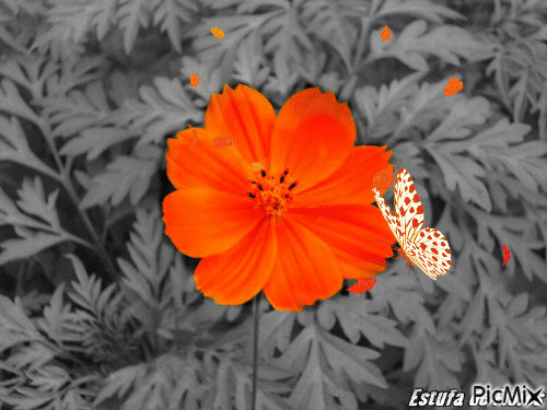 Estufa de Flores 🌸🌸 - Gratis animeret GIF