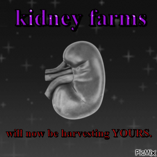 kidney farm - Free animated GIF