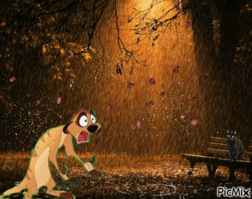 წვიმა - Gratis animerad GIF