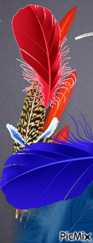 De plumas - Gratis geanimeerde GIF