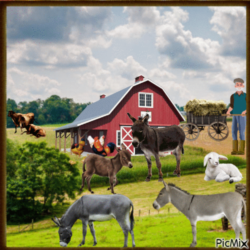 Burro en la granja - Animovaný GIF zadarmo