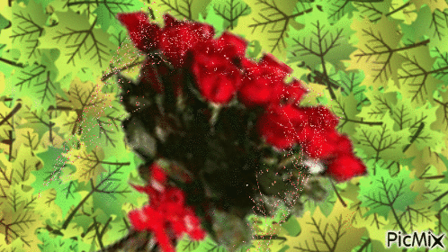 Roses - Gratis geanimeerde GIF