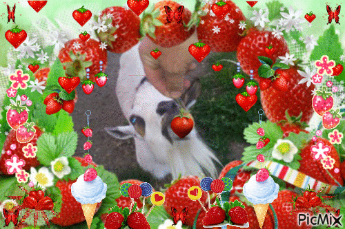 charlie et les fraise - GIF animé gratuit