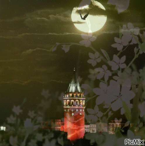 msb - Ingyenes animált GIF