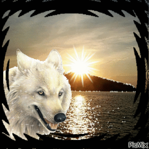 le loup blanc - GIF animé gratuit