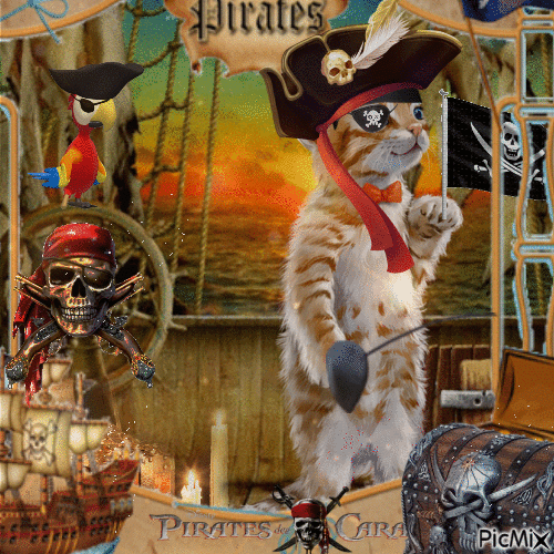 Gato pirata - Free animated GIF
