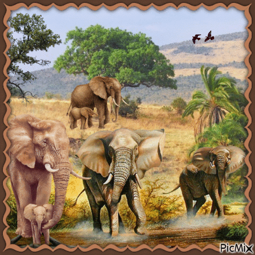 Elefanten - Ingyenes animált GIF