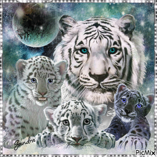 Tigres ! - Free animated GIF
