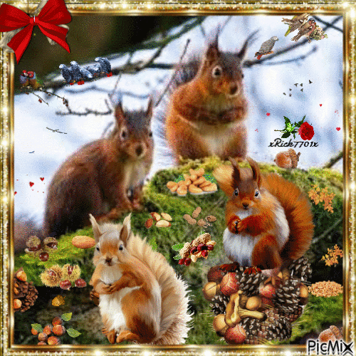 Happy Squirrels  3-12-24  by xRick - Free animated GIF