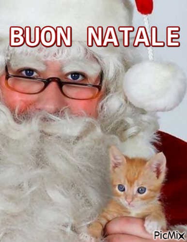 BUON NATALE - δωρεάν png