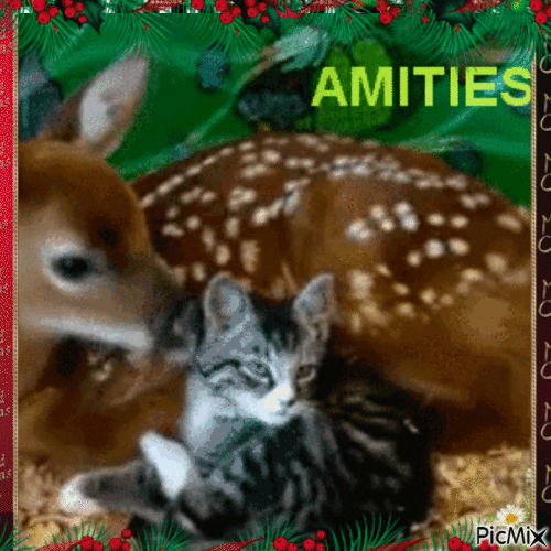 Amitiés - GIF animé gratuit