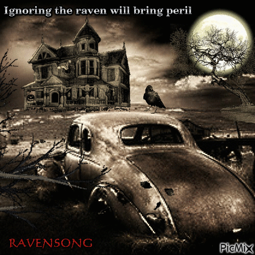 Ignoring the raven will bring peril - Free animated GIF