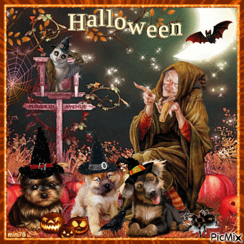 Dogs and Halloween - Besplatni animirani GIF