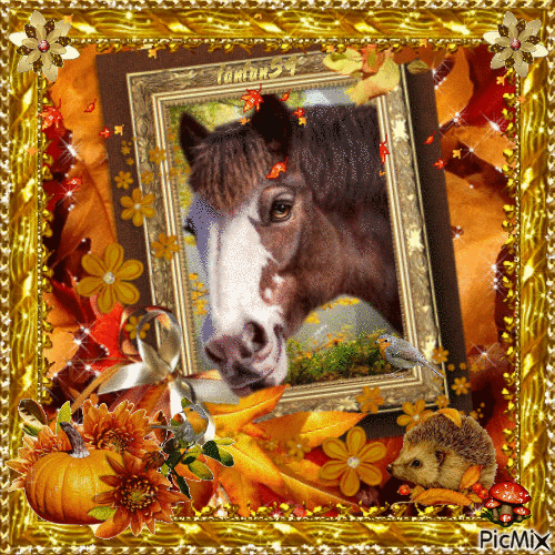 Beau cheval d'automne - Nemokamas animacinis gif