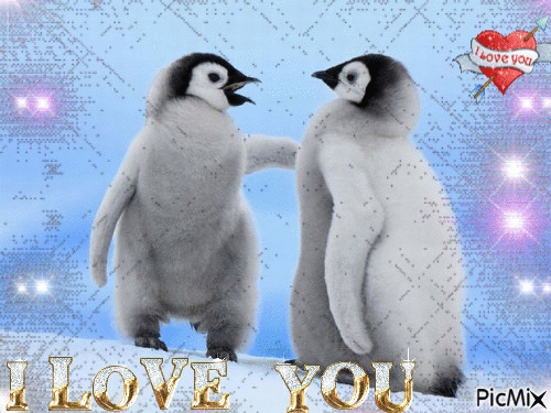 pingouin - Animovaný GIF zadarmo