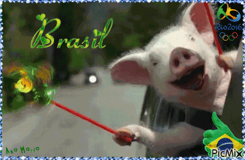 porquinho torcendo pelo Brasil nas olimpiadas - Free animated GIF