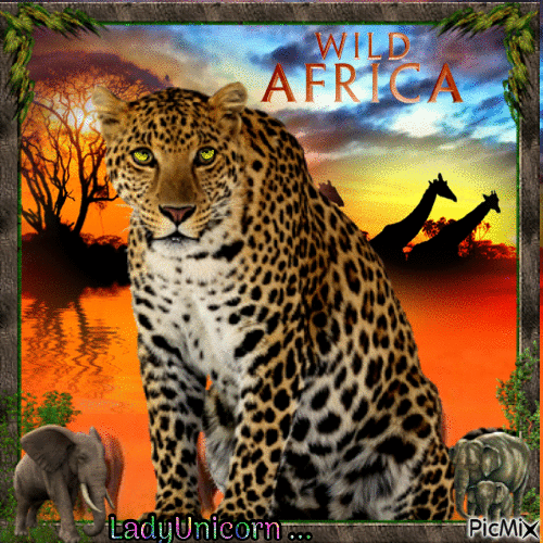 LEOPARD IN AFRICA - Free animated GIF
