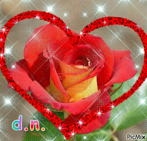 rosa con amore - GIF animado grátis