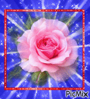 Pink Rose - GIF animasi gratis