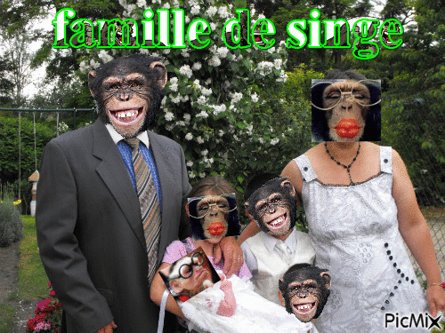 famille de singe - GIF animado gratis