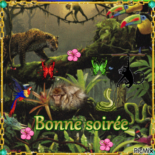 SOIREE DU 15 05 - Bezmaksas animēts GIF