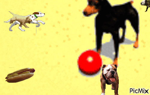 σκυλίσια μέρα - GIF animate gratis