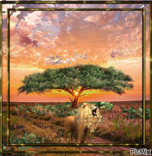 El león solitario - Besplatni animirani GIF