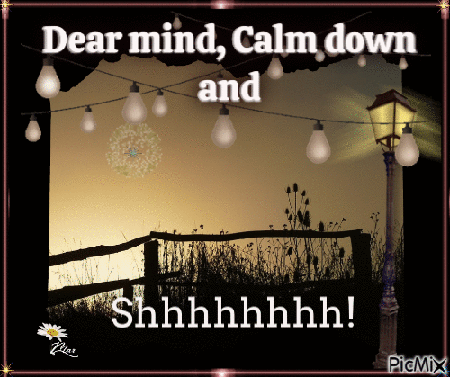 Dear mind, calm down and Shhhhhhhh! - Δωρεάν κινούμενο GIF
