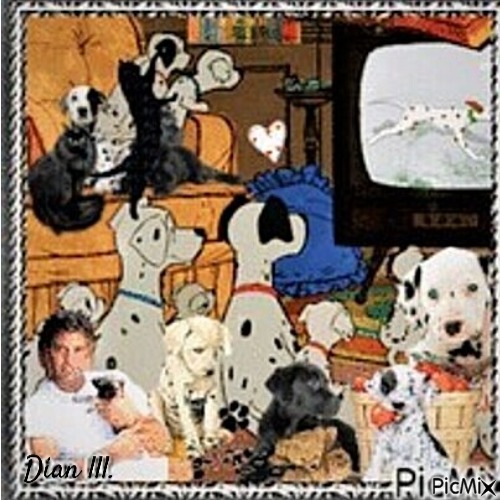 Portrait of Dalmations Watching TV - gratis png
