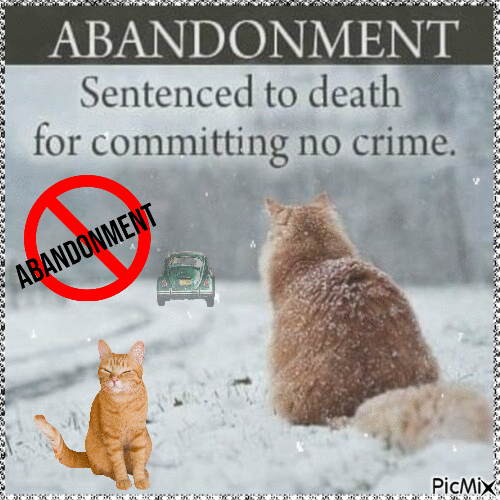No to abandonment - Ilmainen animoitu GIF