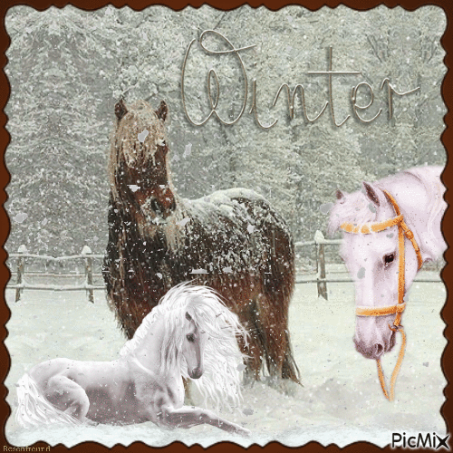 Pferde im Winter - GIF animé gratuit