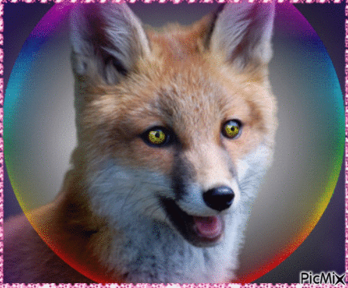 Fox gif - Nemokamas animacinis gif