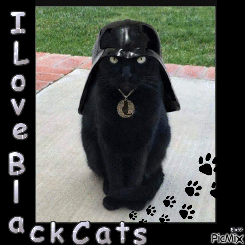 I love black cats - Bezmaksas animēts GIF