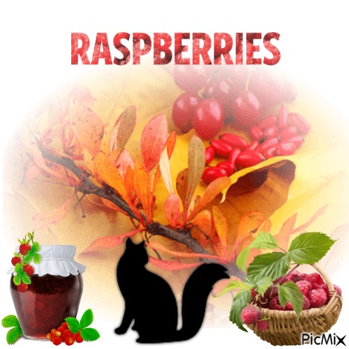 Raspberries Are Fantastic - ücretsiz png