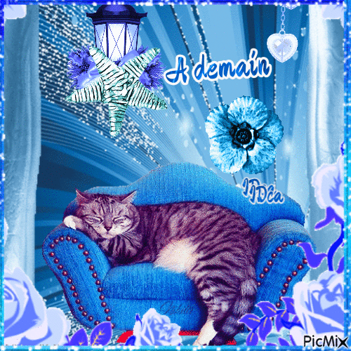 Bonne nuit   les chatons - Darmowy animowany GIF